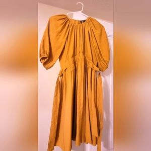 Zara Dress (NWT)